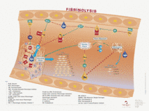 Fibrinolysis