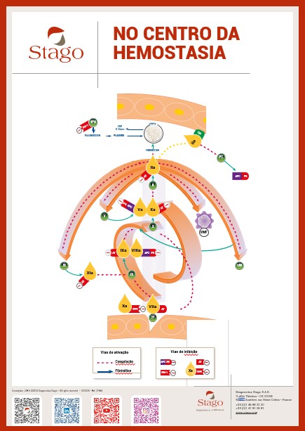 Cascata de coagulação hemostática