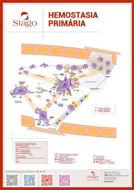 Hemorragia primária