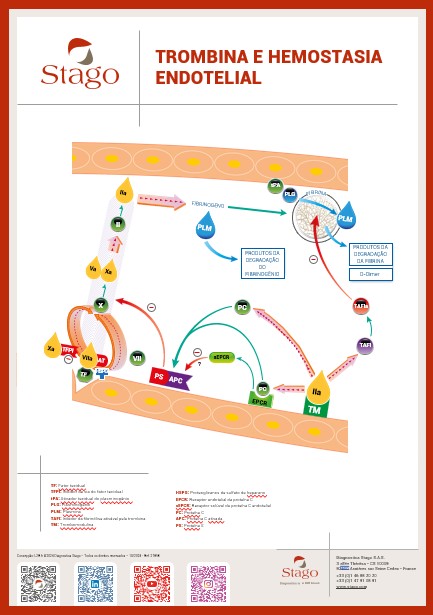 Foco na trombina e na hemostasia endotelial