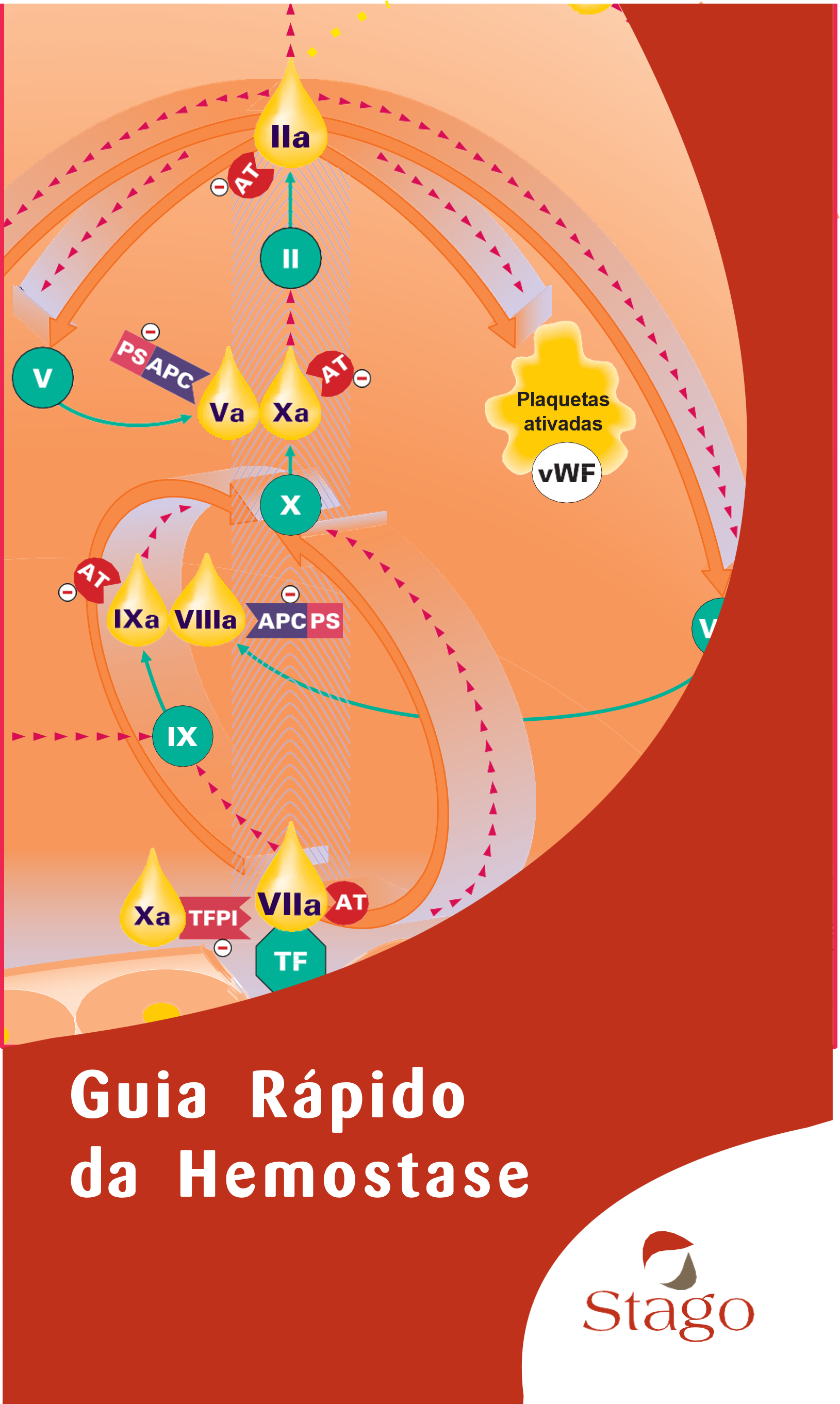 Capa do Guia Rápido de Hemostasia da Stago