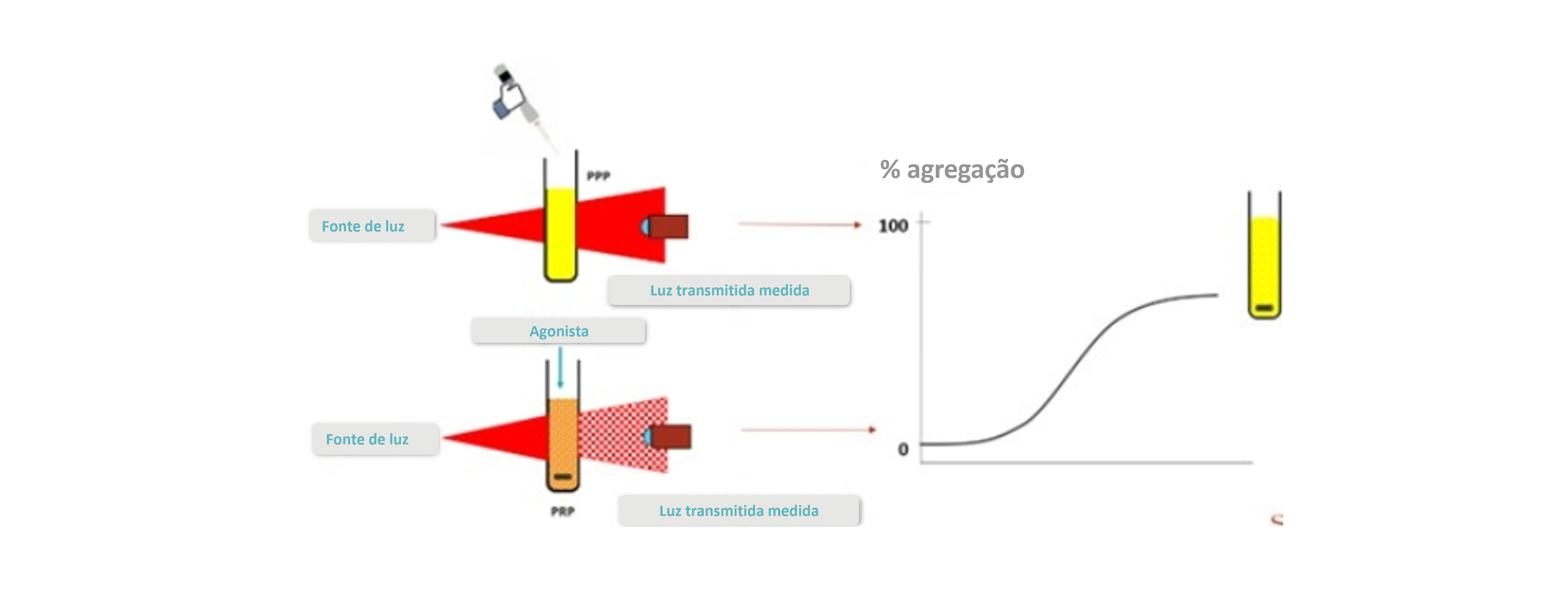 : Empregando a agregometria por transmissão de luz (LTA), reconhecida como o padrão ouro desde 1962, o novo tromboagregômetro TA 4-V3 ou TA 8-V3 da Stago avalia as alterações na transmissão de luz após a adição de agonistas plaquetários ao PRP (plasma rico em plaquetas).